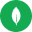 Технологія MongoDB